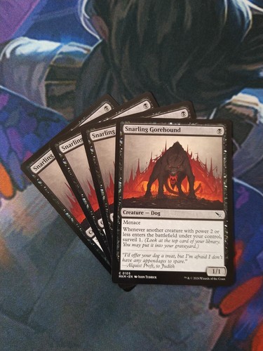 Snarling Gorehound x 4 | 7% Off 2+ | Karlov Manor | NM | MTG - 第 1/1 張圖片