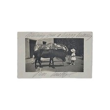 Imperial Russian Princess Victoria Feodorovna of Russia Signed Ducky Postcard RU