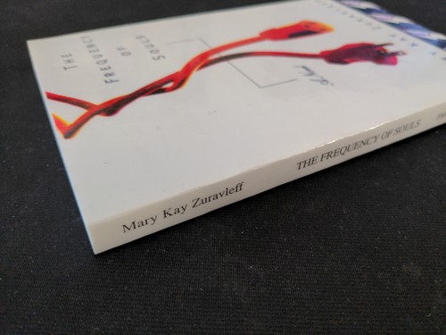 Uncorrected Proof - The Frequency of Souls By Mary Kay Zuravleff 1996 PB ARC - Picture 9 of 11