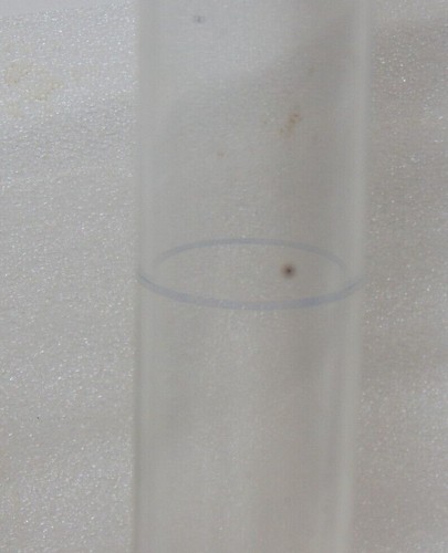 Vaso Frasco de Vidrio Laboratorio K EXAX De Colección Buchner Pyrex Laboratorio Antiguo Tubo de Vástago - Imagen 3 de 5
