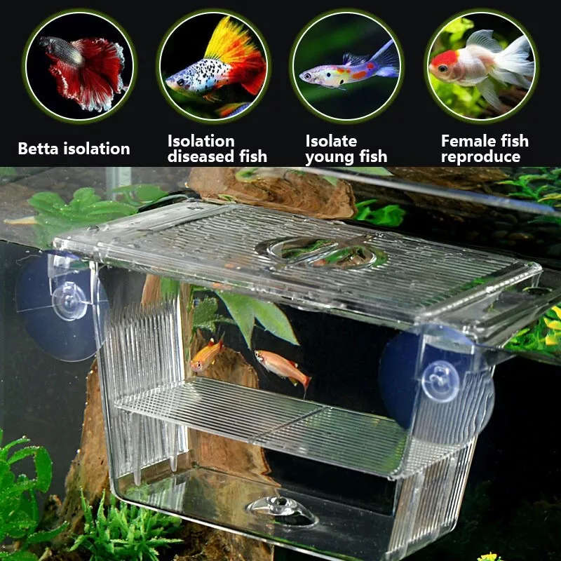 Acryl Aquarium Zucht Box Baby Fisch Separator Aquarium Isolat