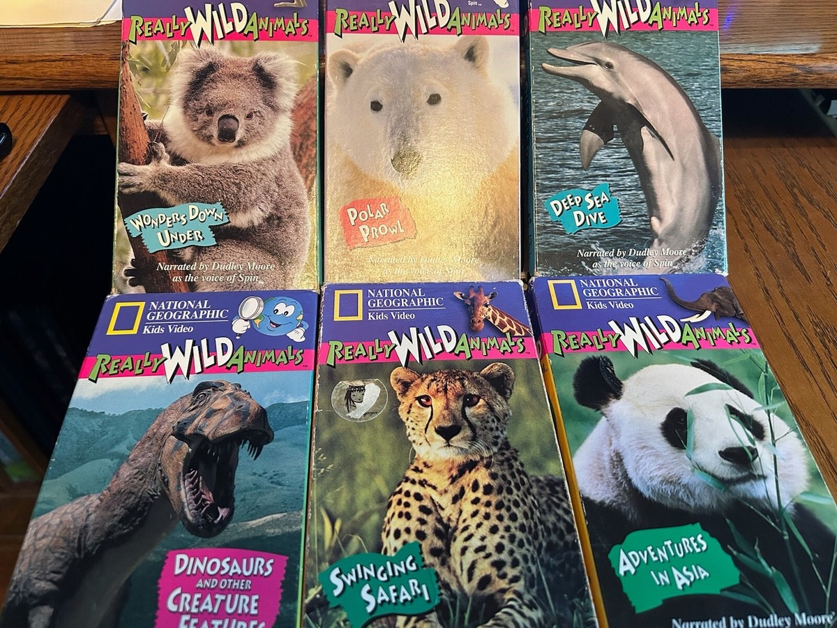 Animal Nat Geo Streaming National Geographic Streaming Free Nature