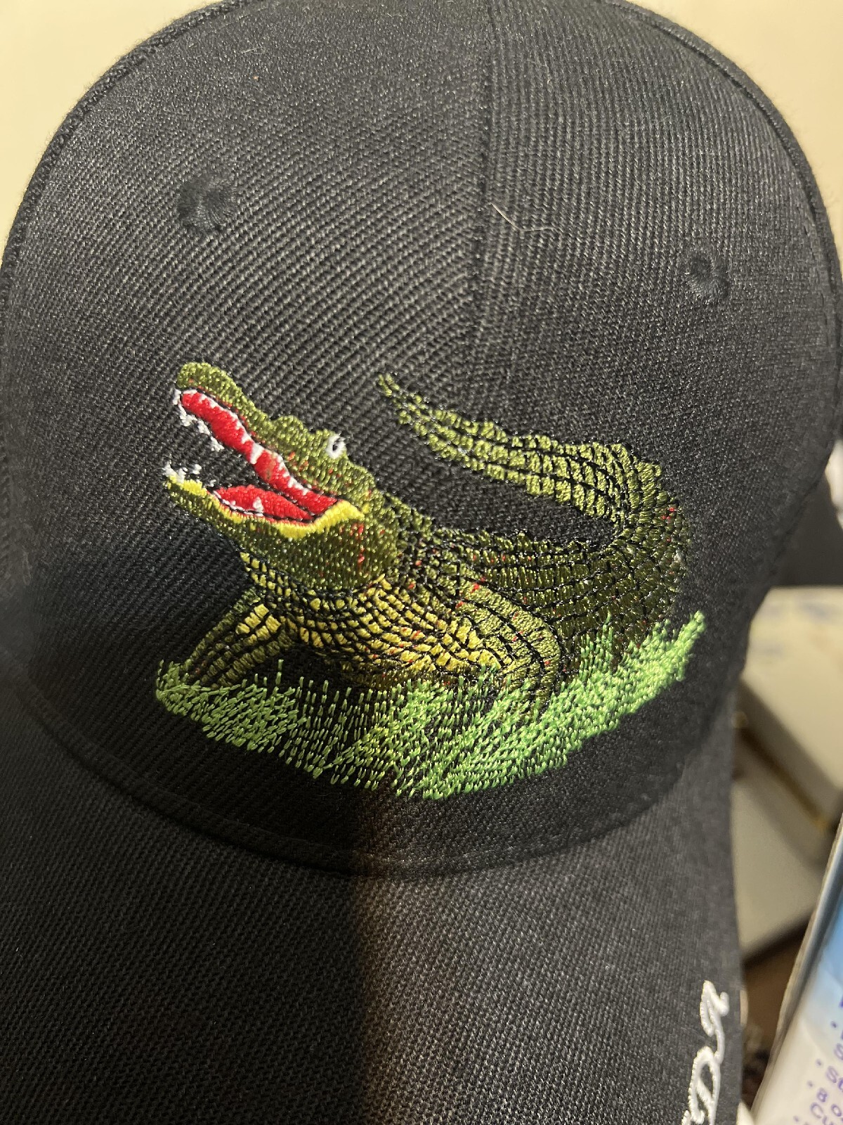 Florida hat - image 1