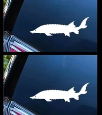 Sturgeon Fish Fishing Two 6" White Vinyl Decal Car Truck Windows laptop notebook