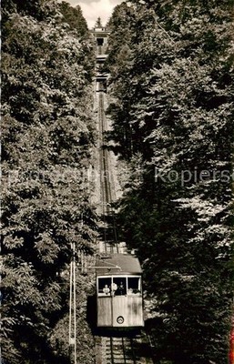 Eisenbahn Railway Chemin de Fer Wald Drahtseilbahn Station Merkur