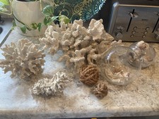 Decorative Sea Sponge Collection. Beautiful Home Decor.