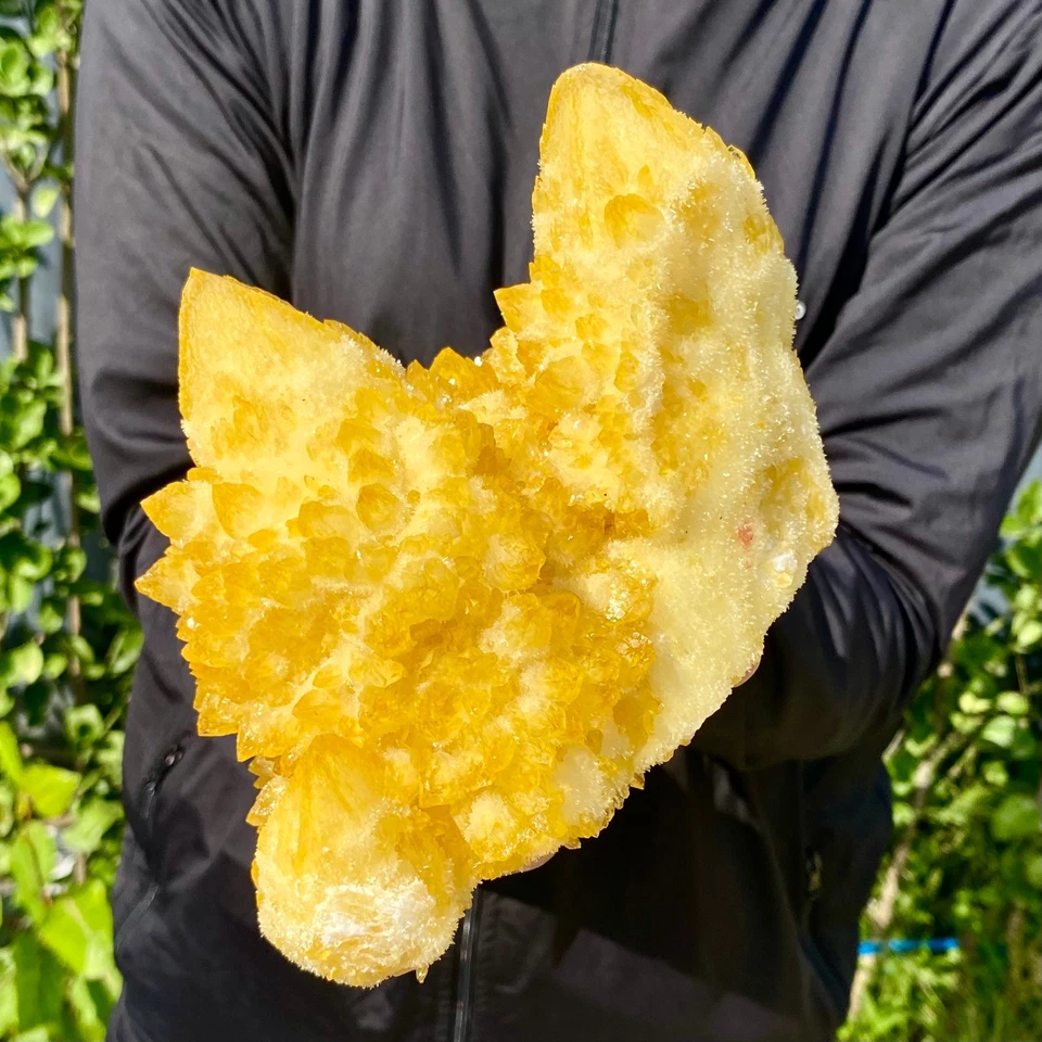 3,59 Pfund Spirit Quartz Kaktus Kristall Cluster CC876 Sonnenschein Goldheiler - Bild 2 von 4