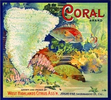 Highland Coral Tropical Fish Orange Citrus Fruit Crate Label Art Print
