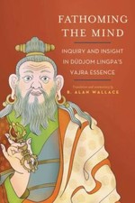 Fathoming the Mind: Inquiry and Insight in Dudjom Lingpa's Vajra Essence by Wal