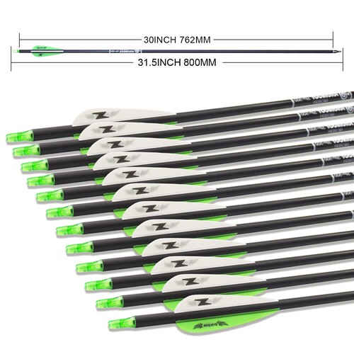 12-36Pcs 30" Archery Carbon Arrows Spine 500 Compound Recurve Bow Hunting Target - Picture 11 of 38