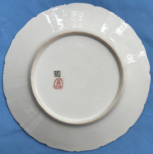 Set of 9, T&V Limoges France Game Bird Plates Multi-Bird Motifs Excellent Cond! - Afbeelding 5 van 16