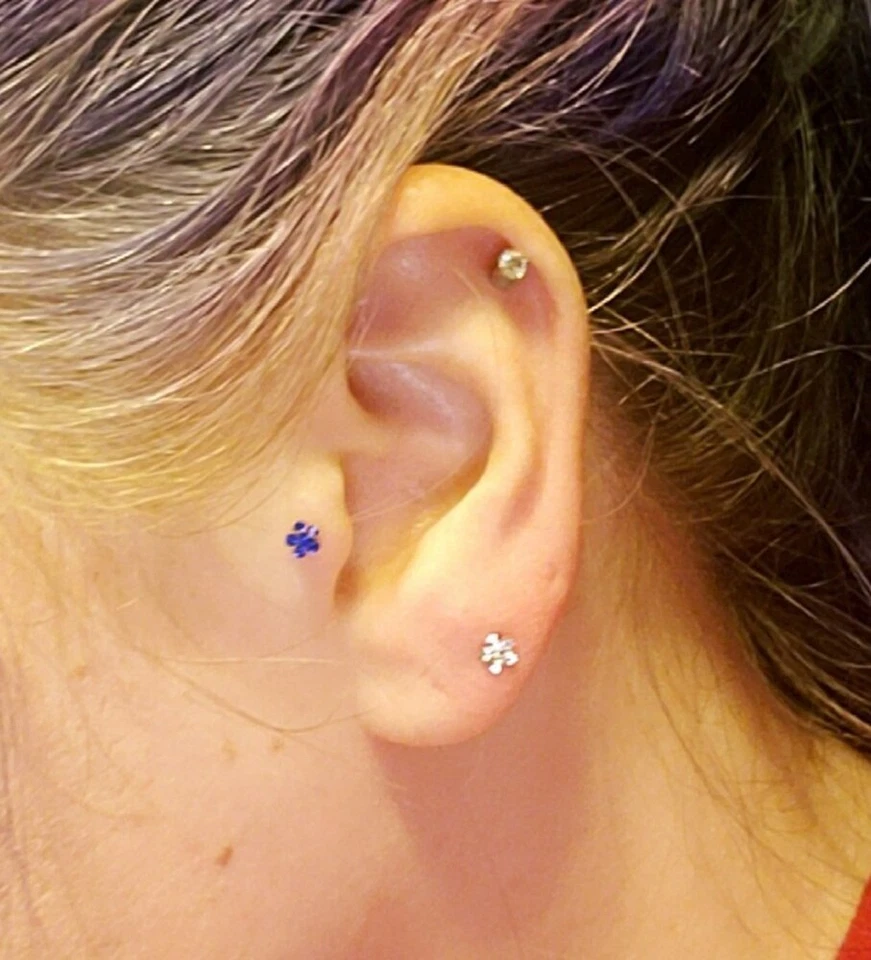 两 (2) 纯银水钻花鼻环 Targus 鱼叶耳钉 — 第 3/3 张图片