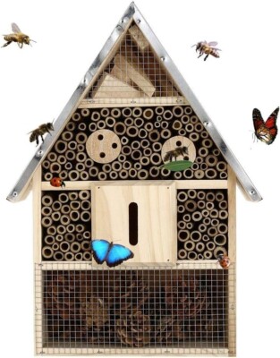 Buddy Wild Insect Hotel - Umweltfreundliches Insektenhaus für Bienen, Schmetterlinge & Insekten