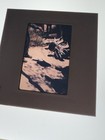 1968 Vietnam War Original Color Slide Soldiers Examining Captured Spike Trap — photo 2
