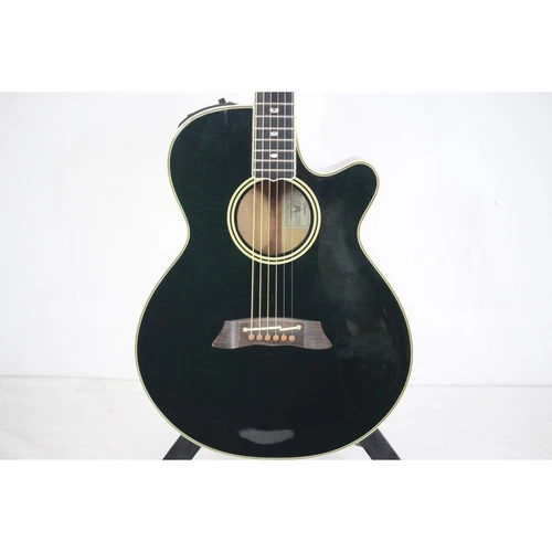 Takamine Npt 115 Medieval No.RG4411