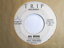 STEVE GREENBERG * 45 * Big Bruce * 1970 * FairGood Atlantic/ 1st TRIP LABEL 3000