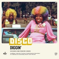 Disco Diggin - Diggin - Vinyl Record Vl - G3Z