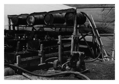 1946 US Air Force Ascension Island Hydroponics Garden