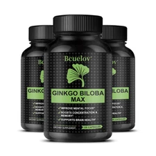 Ginkgo Biloba Capsules 120mg,BOOSTS CONCENTRATION&MEMORY,IMPROVE MENTAL FOCUS