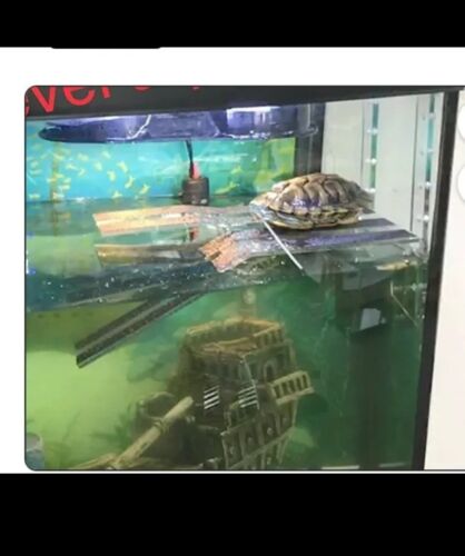 LaBrinx Wide/Large Hanging Turtle Ramp - Aquatic Reptile Basking Platform - Picture 3 of 8
