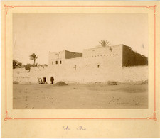 Algérie, Tolga (Biskra) Vintage albumen print.  Tirage albuminé  17x22  Ci