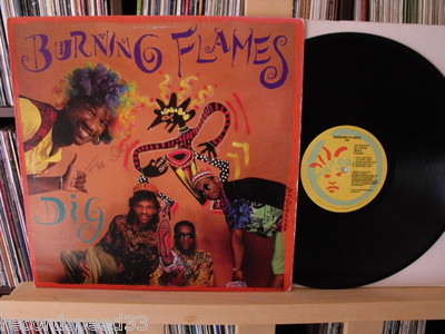 12'' BURNING FLAMES - DIG - Island Mango
