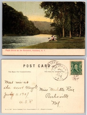 Maple Grove Beaverkill Rockland NY Riverbank Postcard
