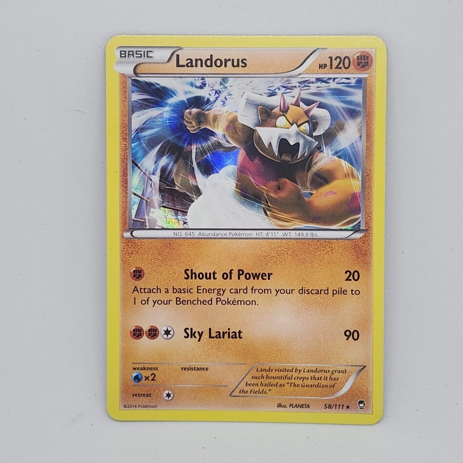 Pokemon Landorus 58/111 Holo Furious Fists Rare Basic Fighting TCG Card