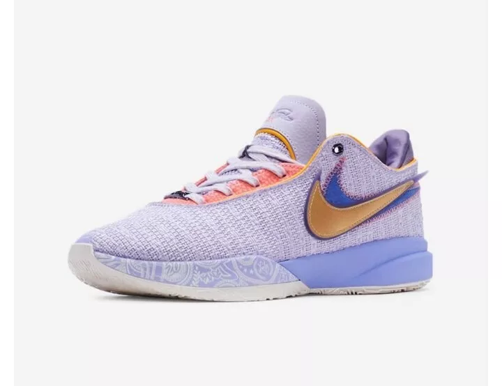 Lebrons for shop girls