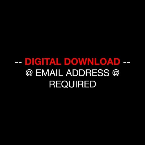 PDF Honda XL600LM (85-87) Digital Service Repair Manual XL 600 LM PD04 Dakar PDF - Picture 24 of 24