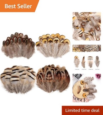 120pcs Natural Feathers Mix - 4 Styles for Elegant DIY Crafts & Decorations