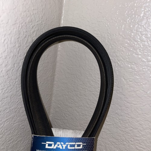 Serpentine Belt-GAS Dayco 5060840 - Picture 4 of 4