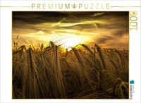 Calvendo Puzzle Kornfeld Am Abend 1000 Teile Puzzle Quer | 1000 Teile Lege-GrößE
