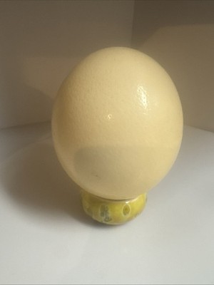 Large Ostrich Egg Blown Out Great For Easter Decor