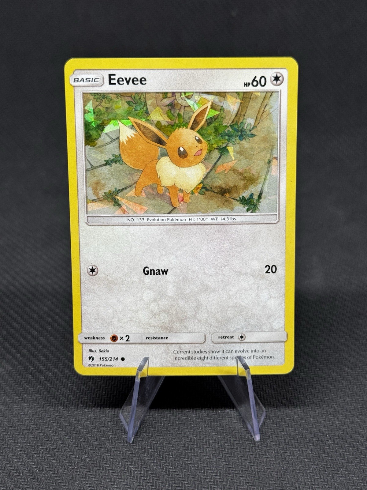 Eevee - 155/214 - Pokemon Lost Thunder Sun & Moon Cracked Holo Rare Card NM