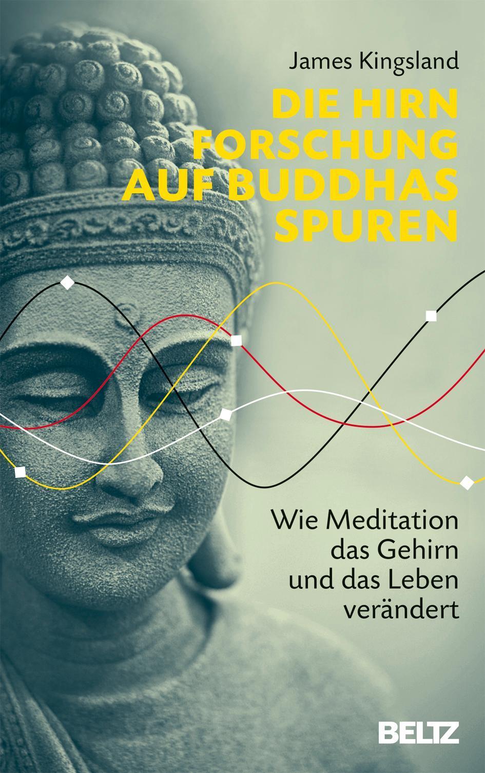 Die Hirnforschung Auf Buddhas Spuren James Kingsland