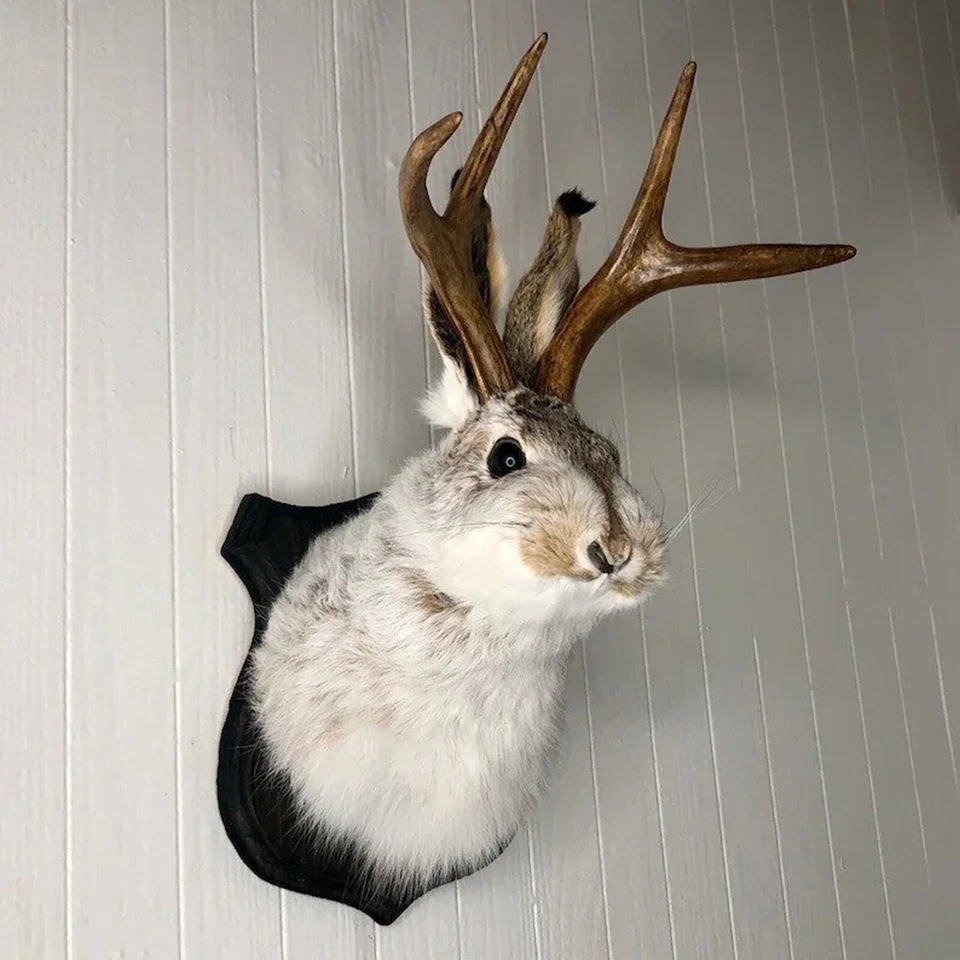 Jackalope Bunny Head Antlers Wall Hanging Decor Animal Wall Mount for Home Decor - image 3 of 4