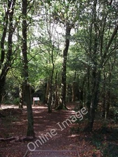 Photo 6x4 Footpath into Saltbox Hill Biggin Hill A footpath leads down fr c2011