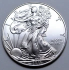 2011 American Silver Eagle Dollar 1 Oz 999 Silver Coin Uncirculated, No Reserve