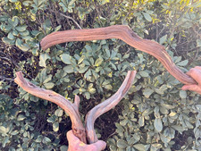 Bird Parrot Cage 3 Perch Set Manzanita Wood Branches One 24" Two 12"