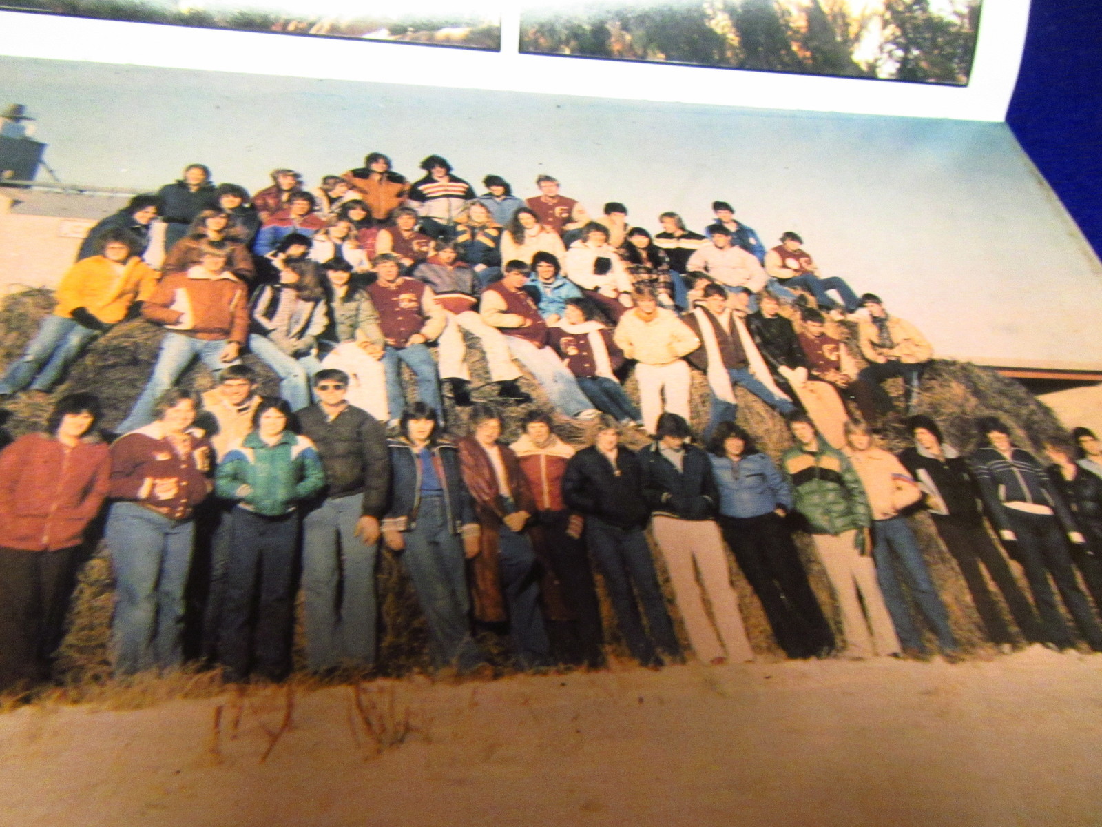 1981 CARRINGTON HIGH SCHOOL YEARBOOK " CARDINAL " Carrington, North