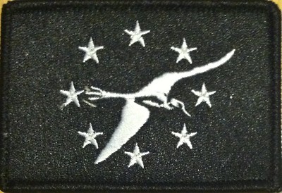 Corpus Christi TEXAS Flag Iron-On Patch Black & White Black Border #3