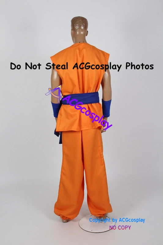 Disfraz de Dragon Ball Z Dimensión de Dragon Ball Juegos con disfraces SSGSS Son Goku Foto 4 de 4