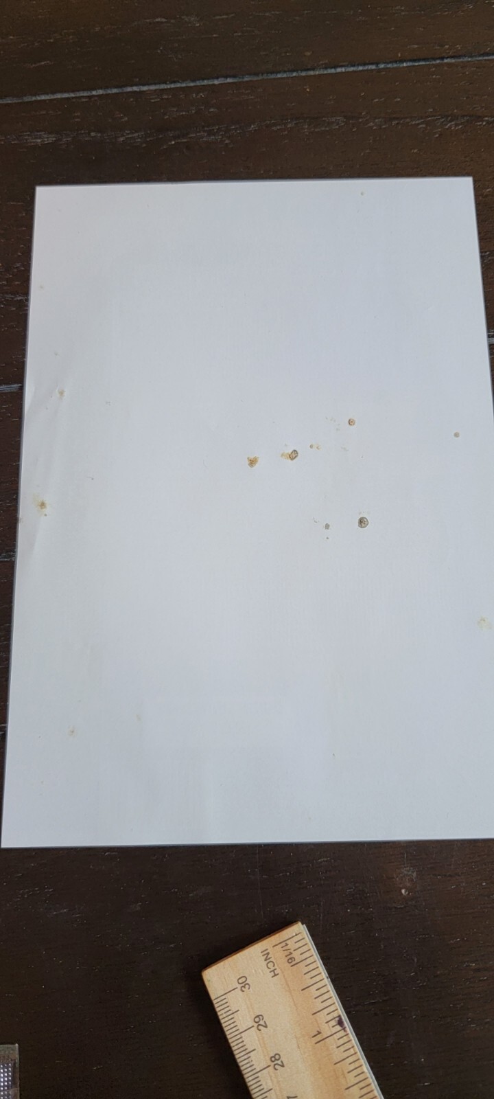 Picture 7 of 8