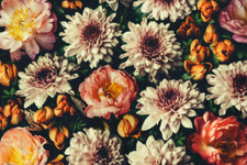 Peonies flowers bouquet vintage look peony garden ceramic tile mural backsplash