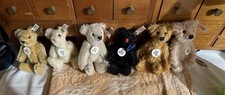 6 Steiff Club Teddybären Bär mit Knopf und ...