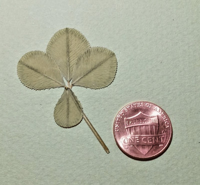 Real 4 leaf clover - dried, and pressed - Trifolium repens, Lucky item #7
