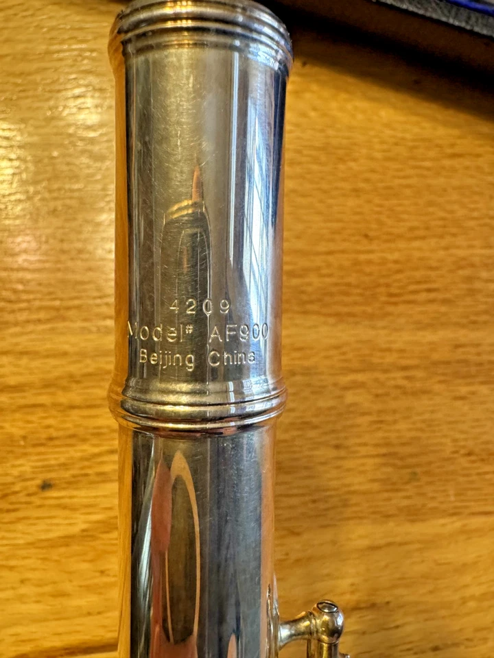 Flauta Haynes Amadeus AF900 número 4209, plata de ley, pie G y B Foto 4 de 4