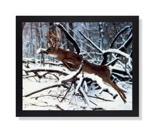 Whitetail Buck Deer Antler Jumping Tree Picture Black Framed Art Print