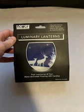 Luminary Lanterns 4pack Floating Led Candles W Batteries Frosty  Christmas 